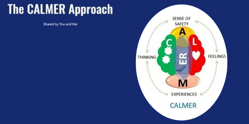 The CALMER Approach training for Support Workers: Harnessing the power ...